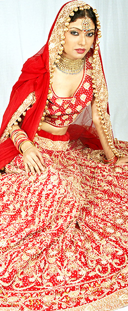 Punjab Bride