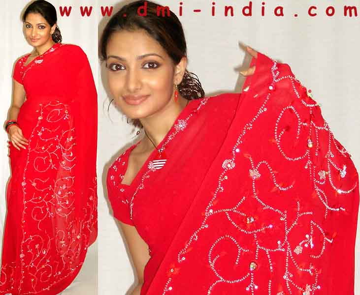 Silver Red Georgette