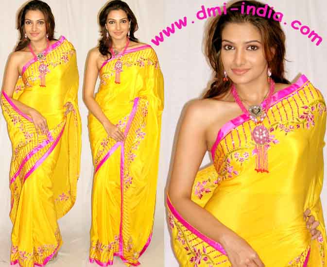 Rani Gold Sari
