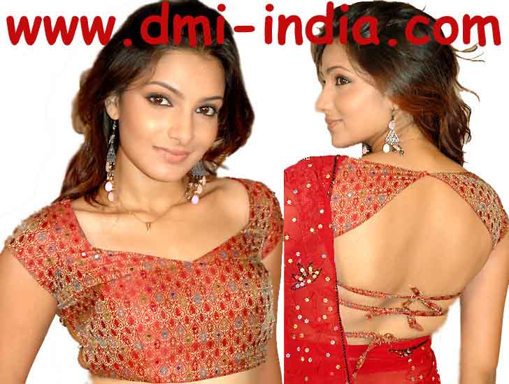 Jamevar Brocade Choli R