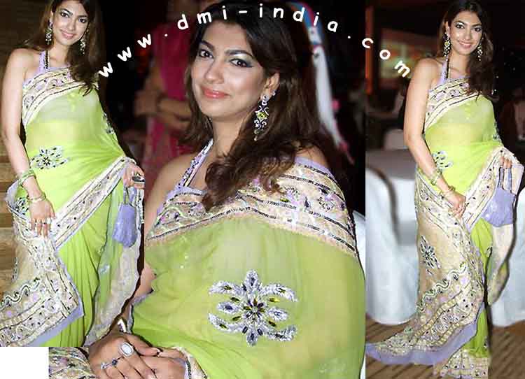 Yukta Handwork Sari