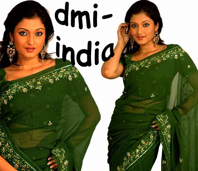 Emerald Resham Silk Sari