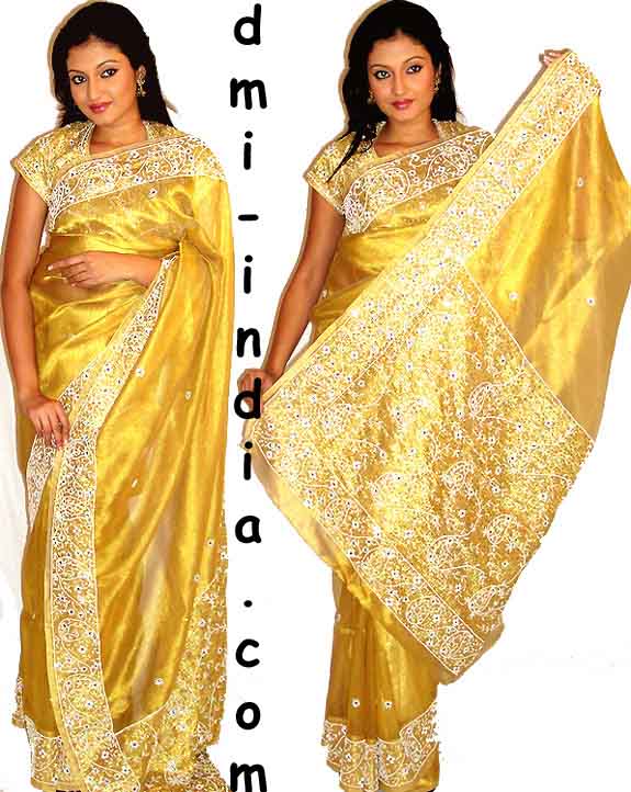 Gold Zardosi Tissue Sari