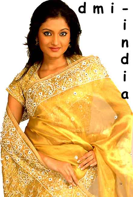 Gold Zardosi Tissue Sari